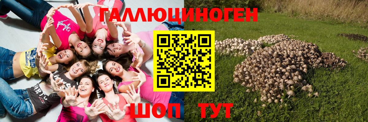 Галлюциногенные грибы мицелий  Галлюциногенные грибы GOLDEN TEACHER  Вход с VPN  Арсеньев 